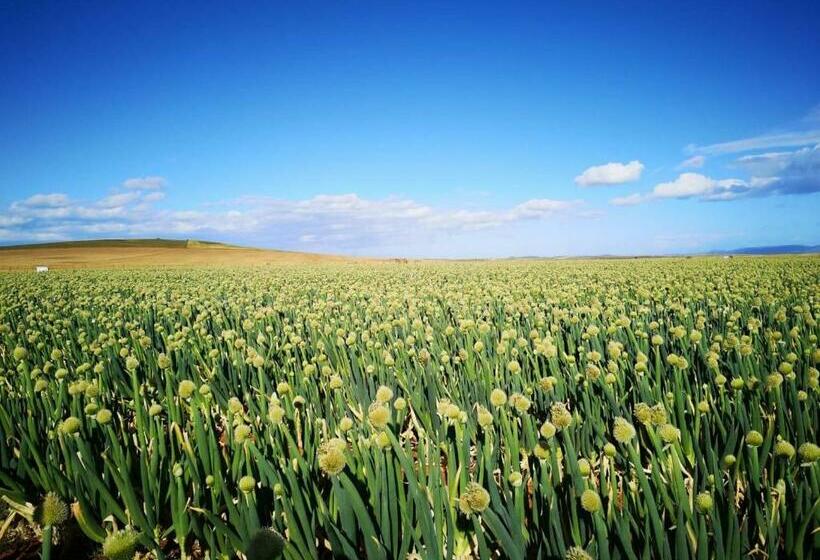 펜션 Oorvloed Guesthouse