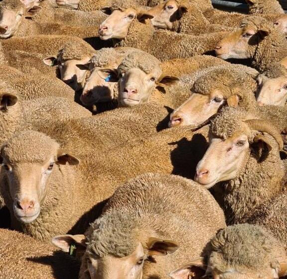 펜션 Oorvloed Guesthouse