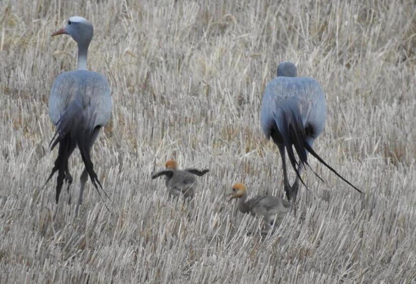 펜션 Oorvloed Guesthouse