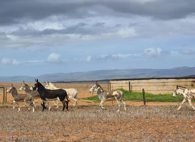 펜션 Oorvloed Guesthouse