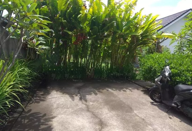 پانسیون Tamiu Guesthouse At Desa Wisata Keramas Near Keramas Surf Beach