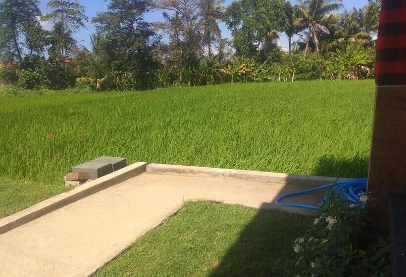 膳宿费 Tamiu Guesthouse At Desa Wisata Keramas Near Keramas Surf Beach