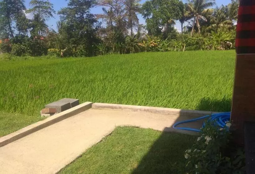 پانسیون Tamiu Guesthouse At Desa Wisata Keramas Near Keramas Surf Beach
