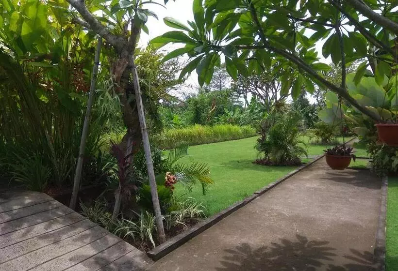 پانسیون Tamiu Guesthouse At Desa Wisata Keramas Near Keramas Surf Beach