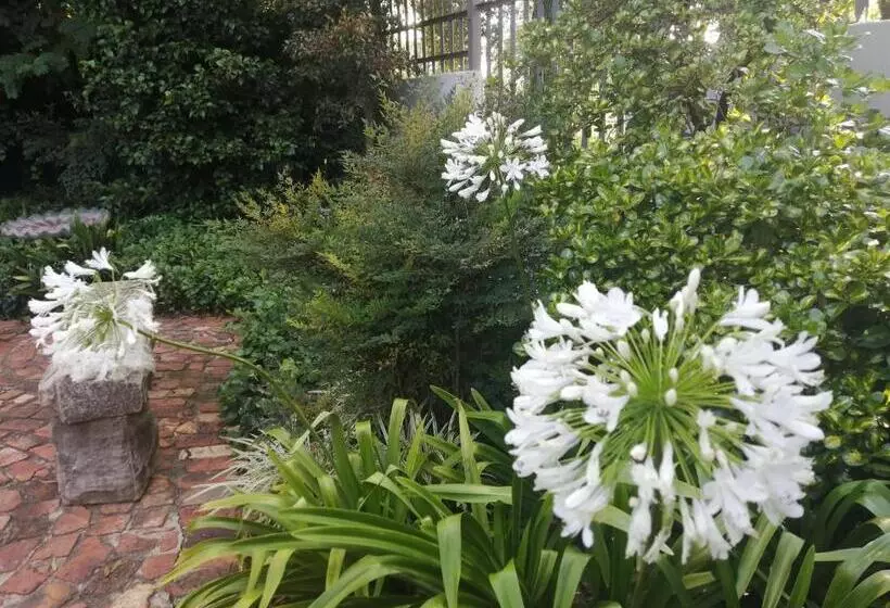 Aamiaismajoitus (B&B) Jasmine Guest Cottage