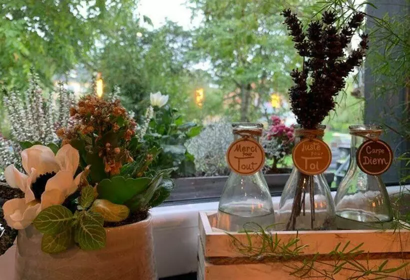 Aamiaismajoitus (B&B) Le Soleil Couchant/chambre D Hôtes