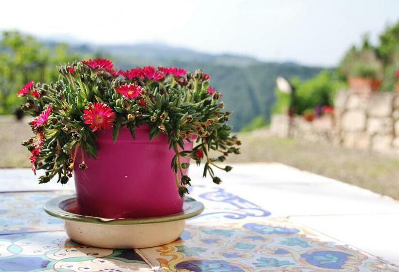 Bed and Breakfast La Maison Del Borgo