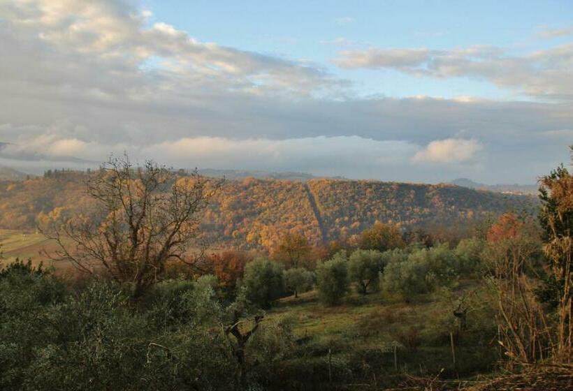 Bed and Breakfast La Maison Del Borgo