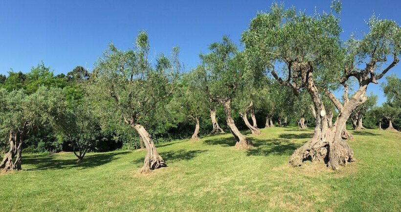 پانسیون Villa Monacelli B&b