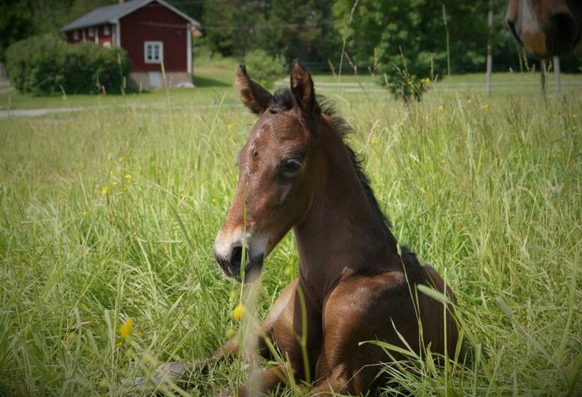 تختخواب و صبحانه Setons Stuga