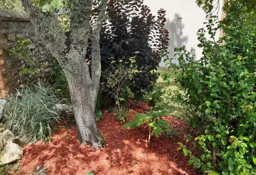 Tuilerie De La Cote 4