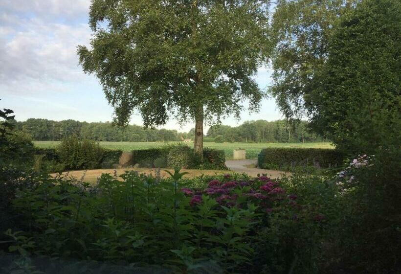 住宿加早餐 Altynghe