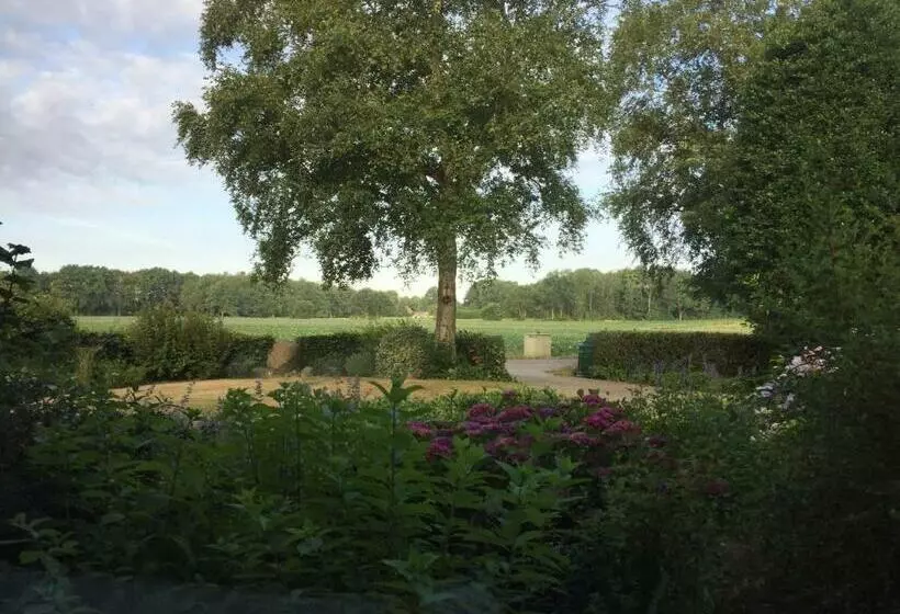 Aamiaismajoitus (B&B) Altynghe