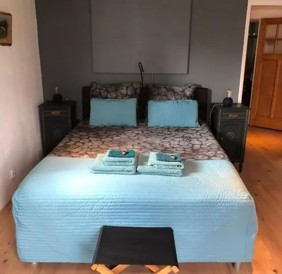 Aamiaismajoitus (B&B) Altynghe