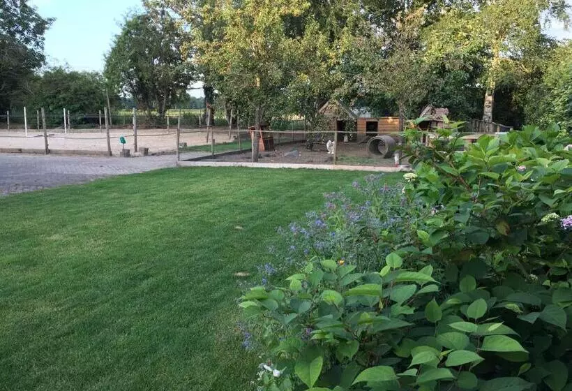 Aamiaismajoitus (B&B) Altynghe