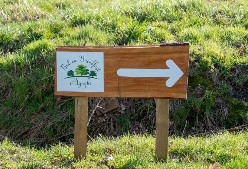 Aamiaismajoitus (B&B) Altynghe