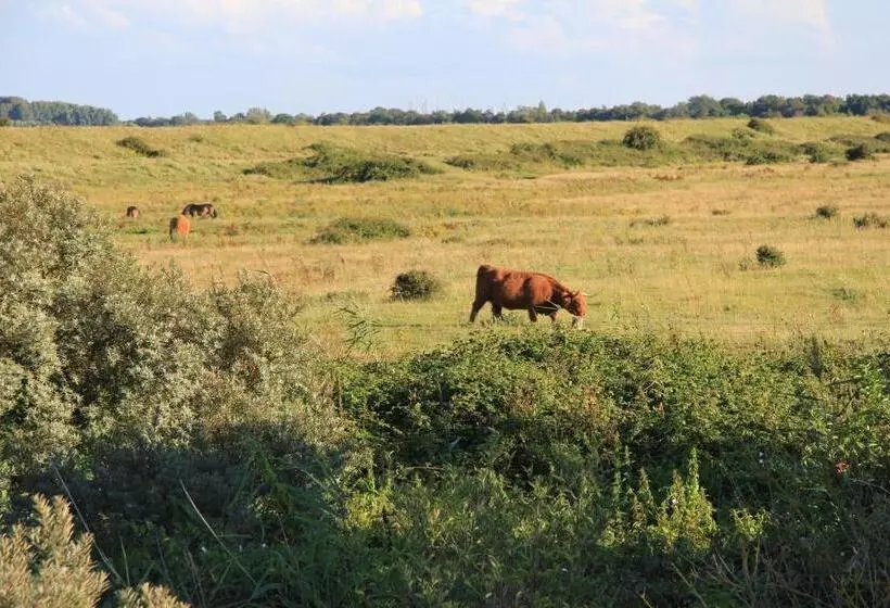 Aamiaismajoitus (B&B) Zeeland & Meer