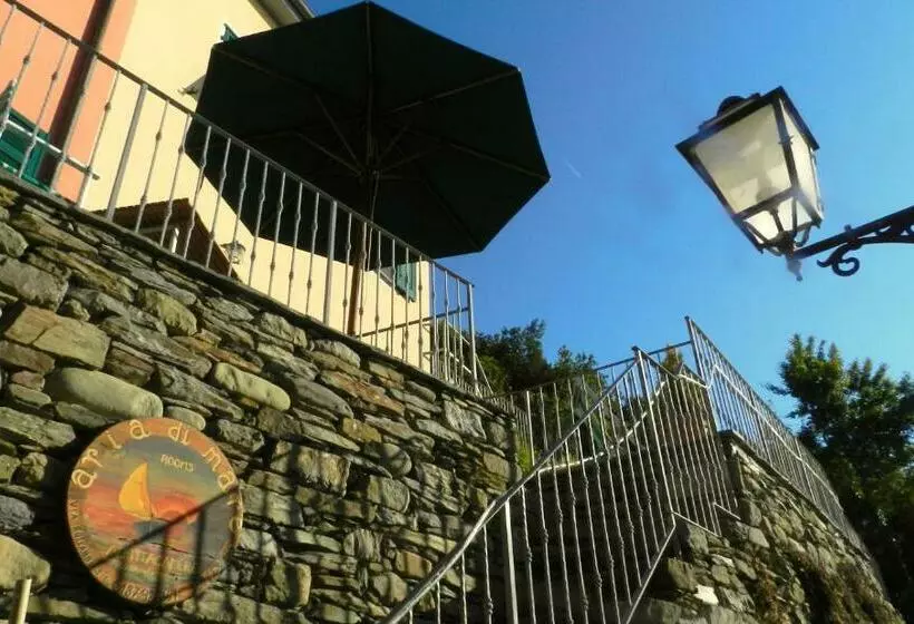 ペンション Aria Di Mare, Manarola   Camere Con Vista Mare!