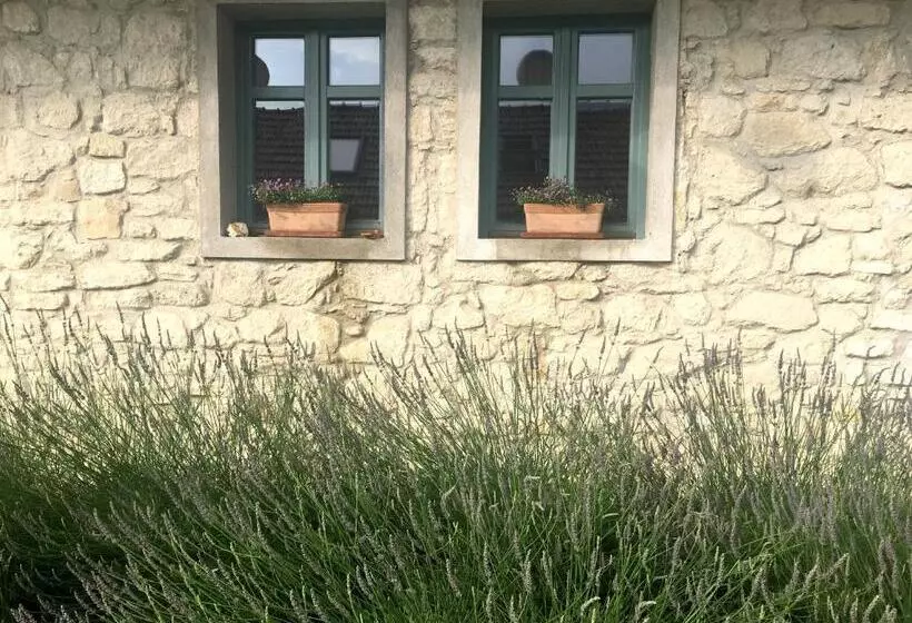 Majatalo Hungry Grape Guests