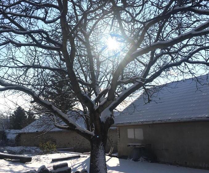 פנסיון Hungry Grape Guests