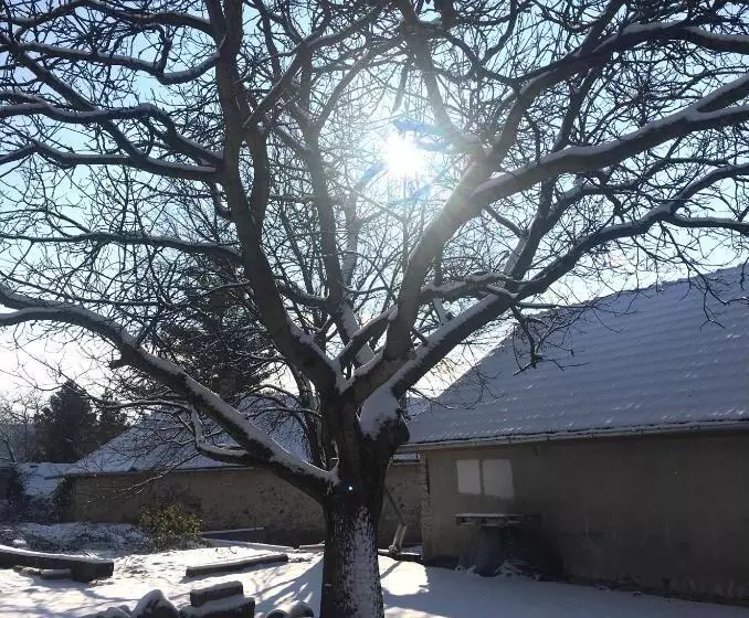 Majatalo Hungry Grape Guests