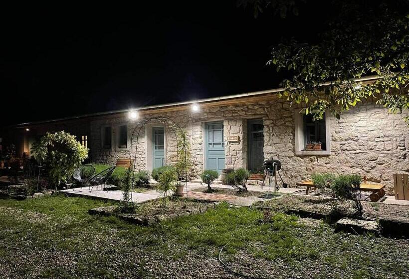 פנסיון Hungry Grape Guests