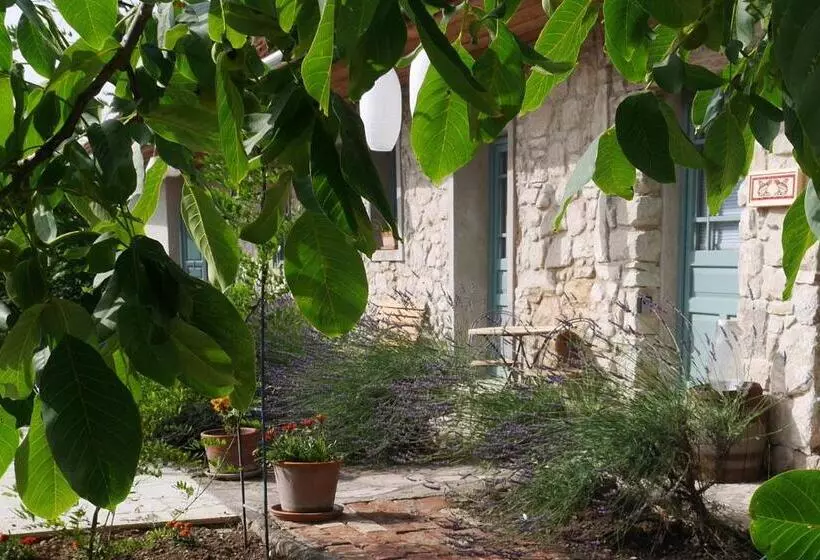 Majatalo Hungry Grape Guests