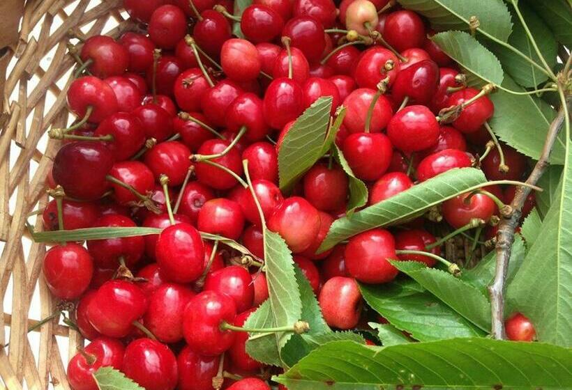 펜션 La Maison De Marie Jeanne 2 Chambres Table D Hôtes