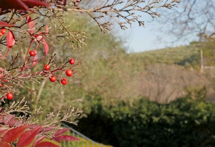 פנסיון Les Chambres D Hôtes De Valensole Au Pays Des Lavandes Et Proche Des Gorges Du Verdon