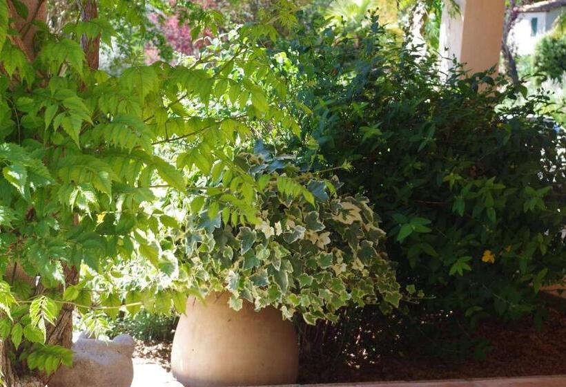 פנסיון Les Chambres D Hôtes De Valensole Au Pays Des Lavandes Et Proche Des Gorges Du Verdon