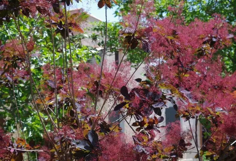 Majatalo Les Chambres D Hôtes De Valensole Au Pays Des Lavandes Et Proche Des Gorges Du Verdon