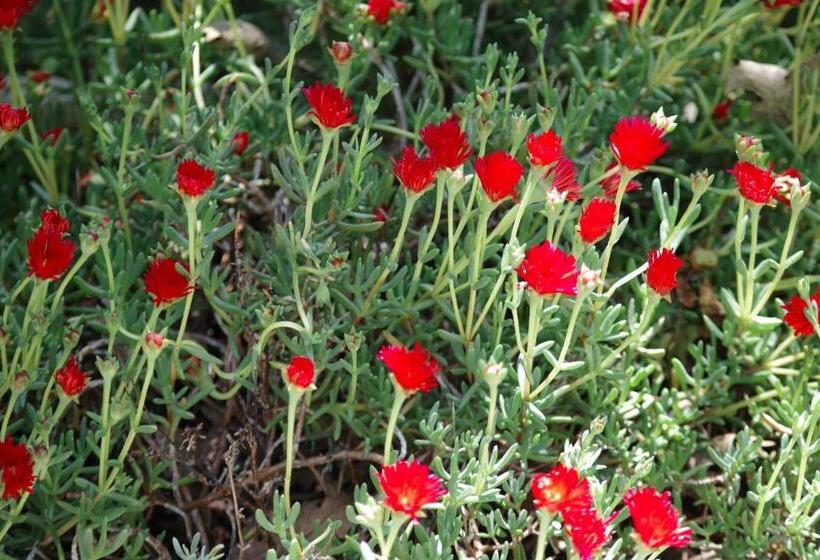פנסיון Les Chambres D Hôtes De Valensole Au Pays Des Lavandes Et Proche Des Gorges Du Verdon