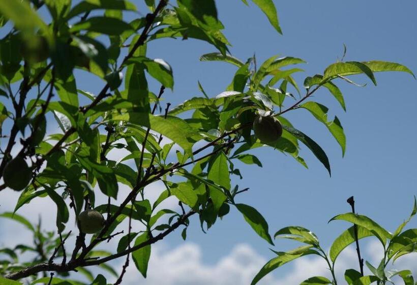 פנסיון Les Chambres D Hôtes De Valensole Au Pays Des Lavandes Et Proche Des Gorges Du Verdon