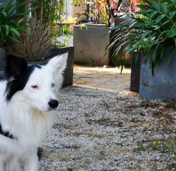 مبيت وإفطار Chambre Arty Chez L Habitant