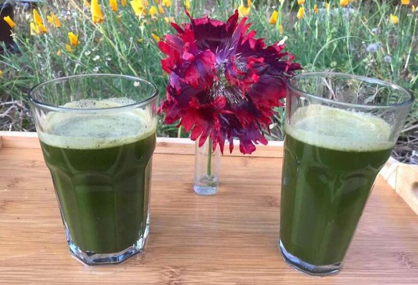 ベッドアンドブレックファースト Healing Waters Sanctuary For Exclusive Private Hire And Self Catering Board, Vegetarian, Alcohol & W