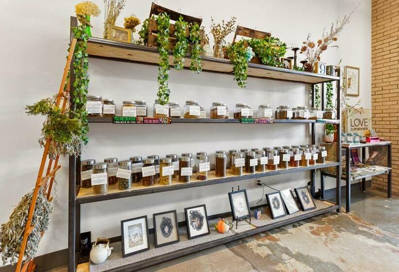 בית מלון כפרי The Wonder  Modern Mw Apts With Rooftop By Zencity