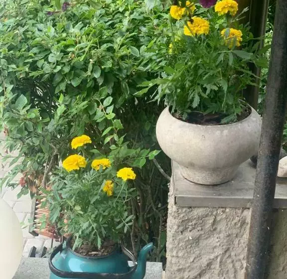 پانسیون Mäekalda Guesthouse Garden Villa With Private Sauna
