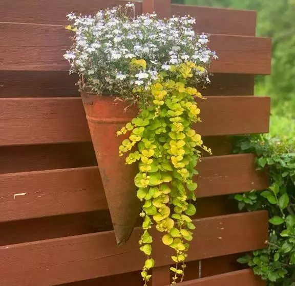 پانسیون Mäekalda Guesthouse Garden Villa With Private Sauna
