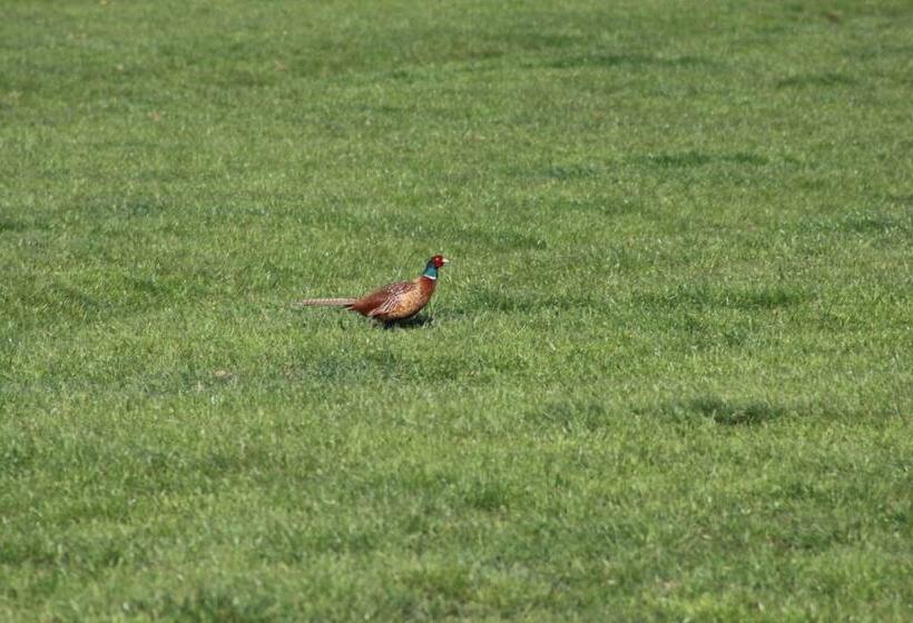 민박 Waterlands Genoegen