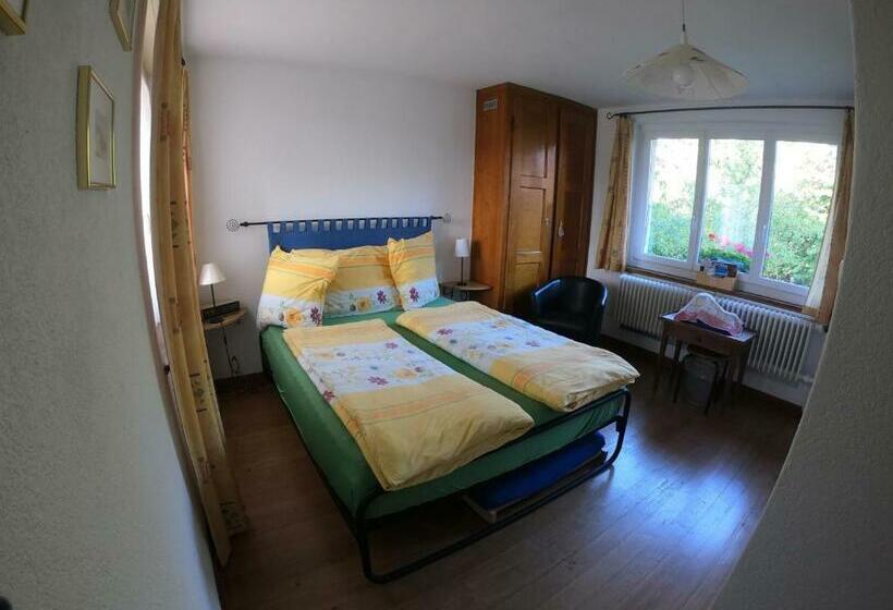 Bed & Breakfast Lucky Duck