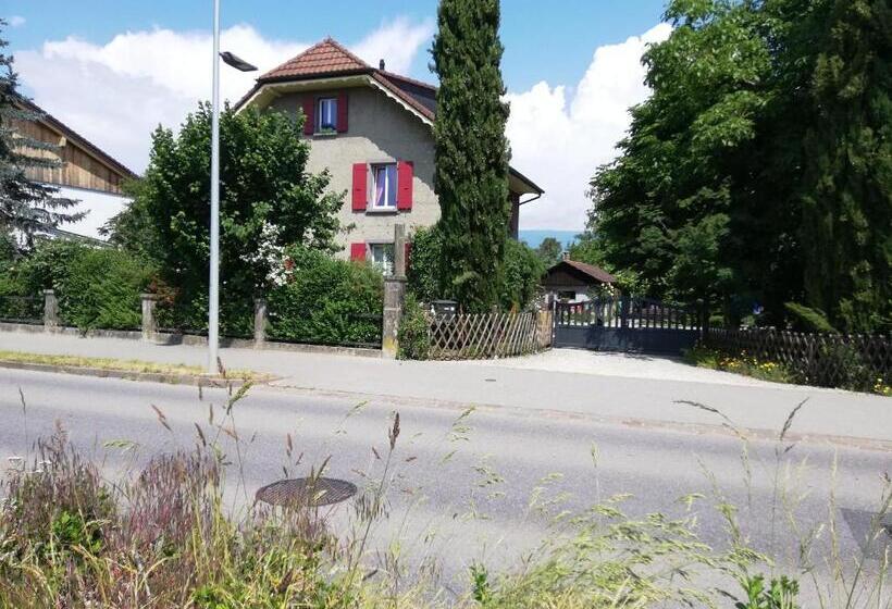 Bed & Breakfast Lucky Duck