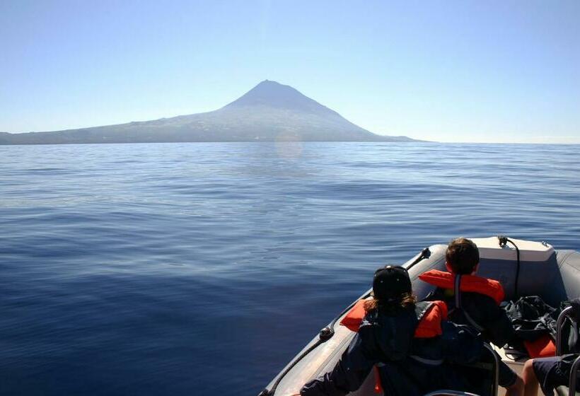 Bed and Breakfast Rainbow Guest House