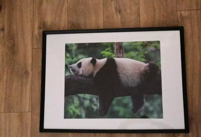 ペンション A 4 Min Du Zoo De Beauval La Maison à Partager Ch2 1er étage