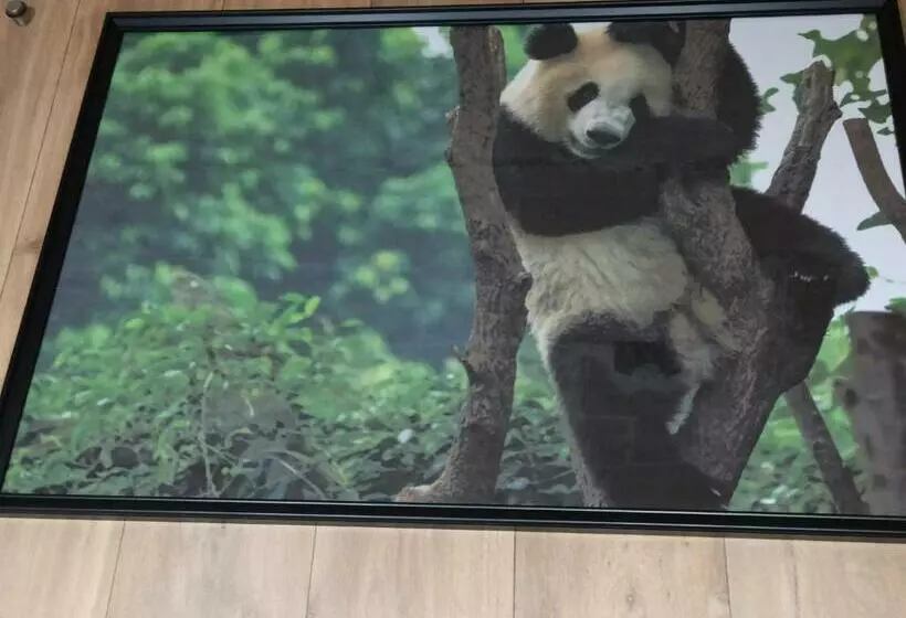 ペンション A 4 Min Du Zoo De Beauval La Maison à Partager Ch2 1er étage