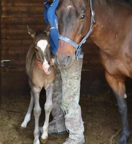 Majatalo Affittacamere Centro Storico