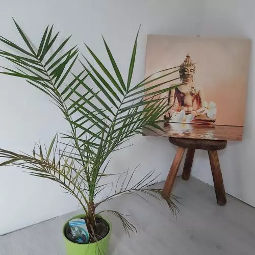 Majatalo Au Pays D Angeline