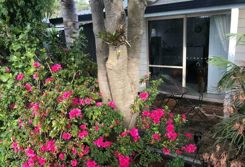 پانسیون Bayview Studio