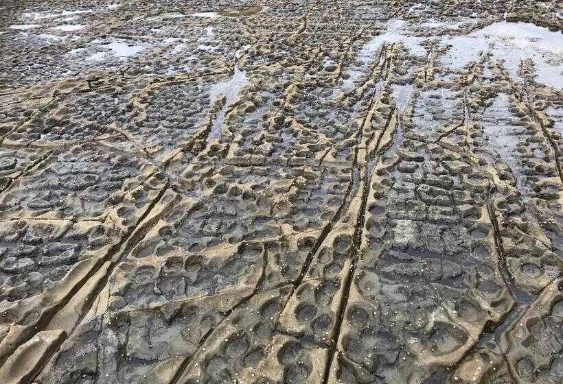 پانسیون Bayview Studio