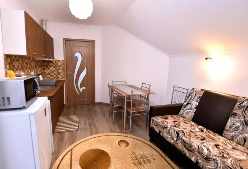 Pensiune Casa De Oaspeti Cristian