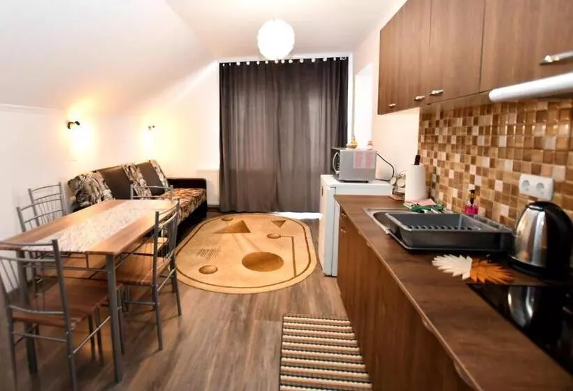 Pensiune Casa De Oaspeti Cristian